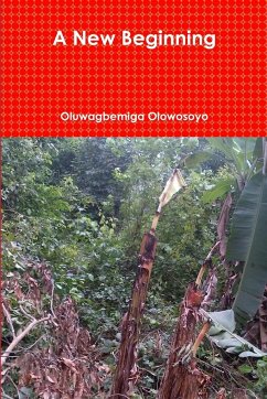 A New Beginning - Olowosoyo, Oluwagbemiga