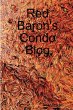 Red Baron's Condo Blog - Bild 1