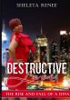 Destructive Love The Rise and Fall of a... - Bild 1
