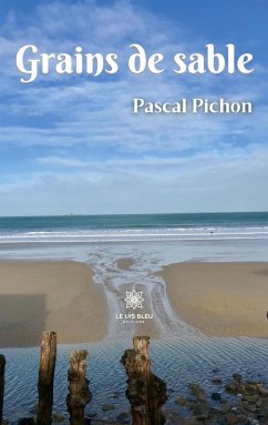 Grains de sable - Pascal Pichon