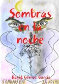 Sombras en la noche