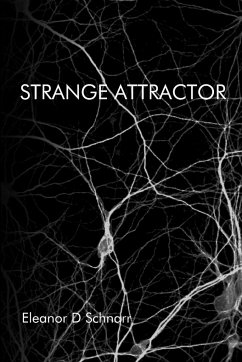 Strange Attractor - Schnarr, Eleanor