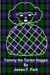 Tammy the Tartan Haggis (version 1 ) - Bild 1