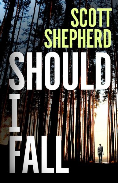 Should I Fall (eBook, ePUB)