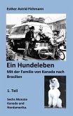 Ein Hundeleben (eBook, ePUB)