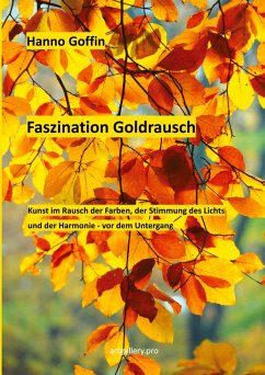 Faszination Goldrausch (eBook, ePUB) - Goffin, Hanno