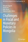 Challenges in Fiscal and Monetary Policies in Mongolia