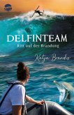 Ritt auf der Brandung / DelfinTeam Bd.3 (eBook, ePUB)