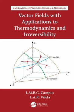 Vector Fields with Applications to Thermodynamics and Irreversibility (eBook, ePUB) - Braga Da Costa Campos, Luis Manuel; Raio Vilela, Luís António