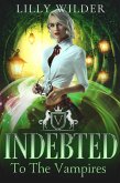 Indebted To The Vampires (eBook, ePUB)