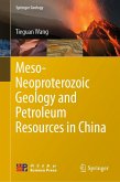 Meso-Neoproterozoic Geology and Petroleum Resources in China (eBook, PDF)