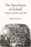 The Apocalypse in Ireland (eBook, ePUB)
