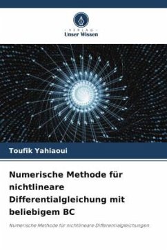 Numerische Methode für nichtlineare Differentialgleichung mit beliebigem BC - Yahiaoui, Toufik