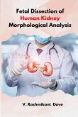 Fetal dissection of human kidney morphological analysis
