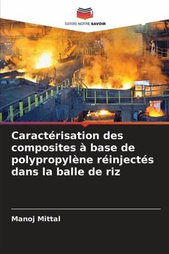 Caractérisation des composites à base de polypropylène réinjectés dans la balle de riz - Mittal, Manoj