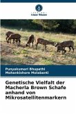 Genetische Vielfalt der Macherla Brown Schafe anhand von Mikrosatellitenmarkern