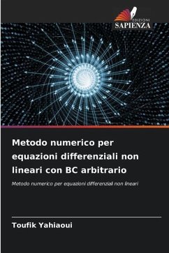 Metodo numerico per equazioni differenziali non lineari con BC arbitrario - Yahiaoui, Toufik