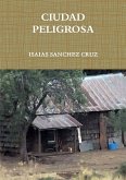 CIUDAD PELIGROSA CIUDAD PELIGROSA