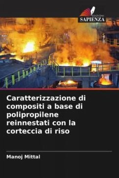 Caratterizzazione di compositi a base di polipropilene reinnestati con la corteccia di riso - Mittal, Manoj