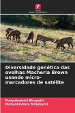 Diversidade genética das ovelhas Macherla Brown usando micro-marcadores de satélite