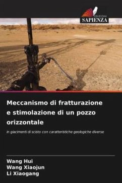 Meccanismo di fratturazione e stimolazione di un pozzo orizzontale - Hui, Wang;Xiaojun, Wang;Xiaogang, Li