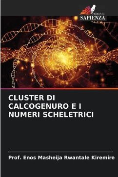 CLUSTER DI CALCOGENURO E I NUMERI SCHELETRICI - Kiremire, Prof. Enos Masheija Rwantale