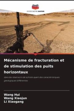 Mécanisme de fracturation et de stimulation des puits horizontaux - Hui, Wang;Xiaojun, Wang;Xiaogang, Li