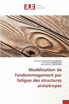 Modélisation de l'endommagement par fatigue des structures anisotropes - KALAMEU NOUBOUM, Alain Brice;KENMEUGNE, Bienvenu;Djeumako, Bonaventure