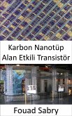 Karbon Nanotüp Alan Etkili Transistör (eBook, ePUB)