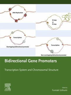Bidirectional Gene Promoters (eBook, ePUB) - Uchiumi, Fumiaki