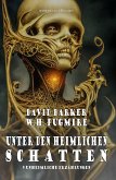 Unter den heimlichen Schatten - 9 unheimliche Erzählungen (eBook, ePUB)