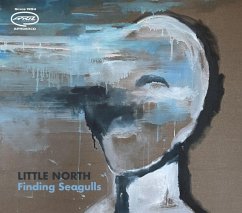 Finding Seagulls - Little North
