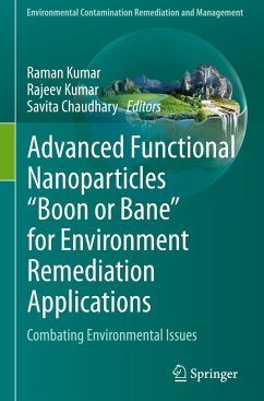 Advanced Functional Nanoparticles 