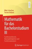 Mathematik für das Bachelorstudium III (eBook, PDF)