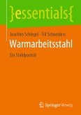 Warmarbeitsstahl (eBook, PDF)