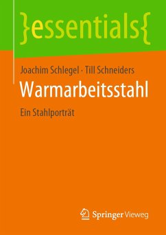 Warmarbeitsstahl (eBook, PDF) - Schlegel, Joachim; Schneiders, Till