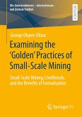 Examining the &quote;Golden&quote; Practices of Small-Scale Mining (eBook, PDF)