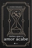 Antes que o amor acabe (eBook, ePUB)