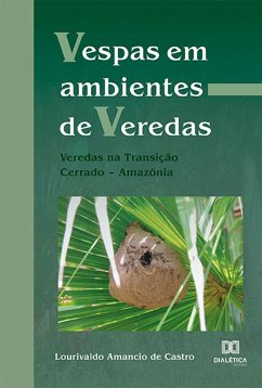 Cover Vespas em ambientes de Veredas (eBook, ePUB)