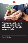 Micropropagation du palmier nain (Dypsis Lutescens) à l'échelle commerciale
