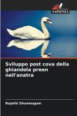 Sviluppo post cova della ghiandola preen nell'anatra