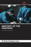 ANATOMY OF THE PANCREAS