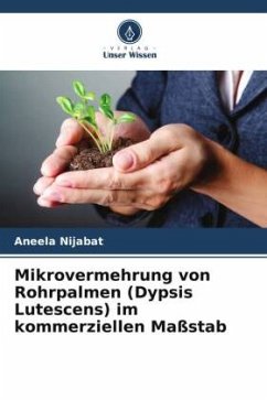 Mikrovermehrung von Rohrpalmen (Dypsis Lutescens) im kommerziellen Maßstab - Nijabat, Aneela