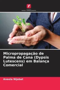 Micropropagação de Palma de Cana (Dypsis Lutescens) em Balança Comercial - Nijabat, Aneela