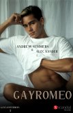 Gay Romeo (eBook, ePUB)