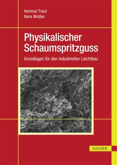 Physikalischer Schaumspritzguss (eBook, PDF) - Traut, Hartmut; Wobbe, Hans