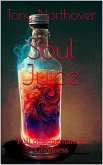 Soul Juice (eBook, ePUB) Soul Juice (eBook, ePUB)