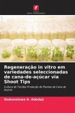 Regeneração in vitro em variedades seleccionadas de cana-de-açúcar via Shoot Tips