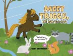 Meet Triggs, the Horse-A-Roo