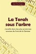 La Torah sous l'arbre - Bild 1
